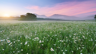 Предимно слънчево ще е времето днес След обяд ще се