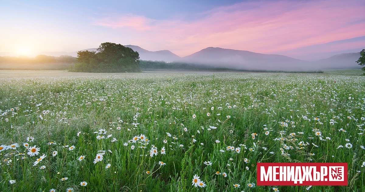 Предимно слънчево ще е времето днес. След обяд ще се