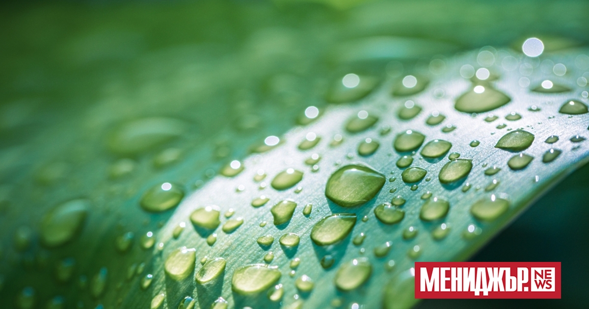 Вятърът ще започне да се ориентира от запад-северозапад, ще е