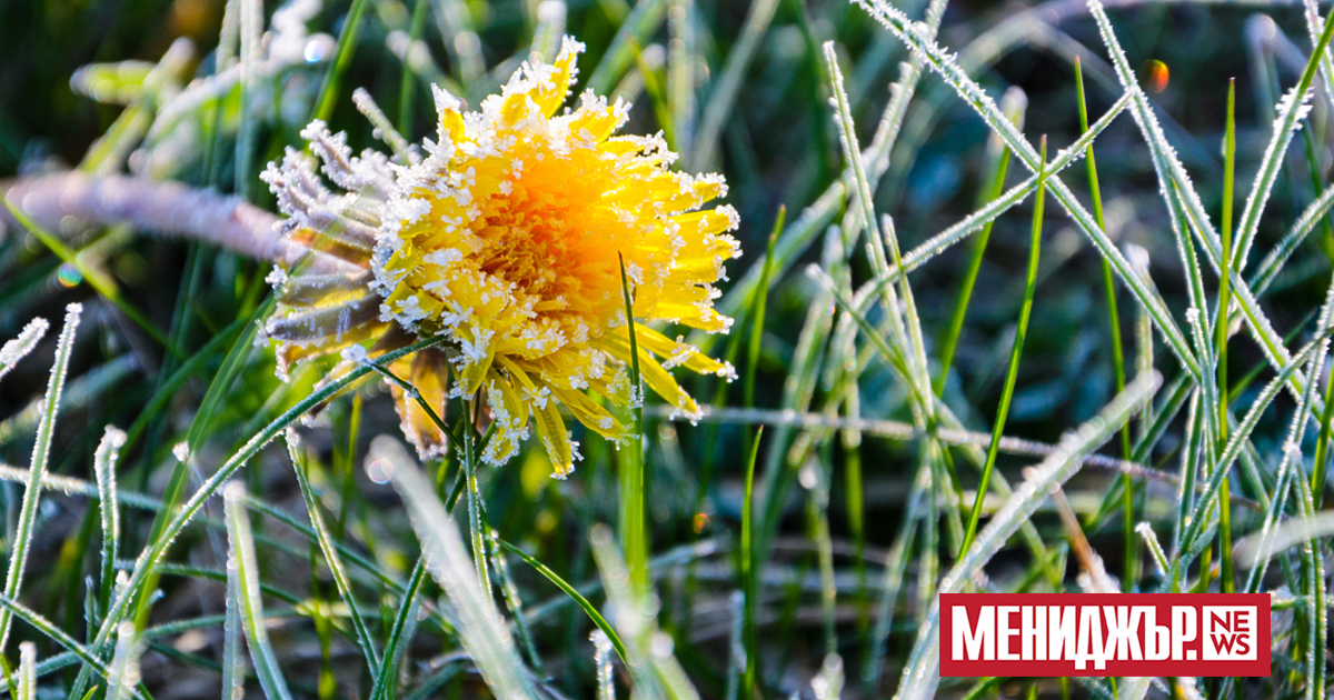 Във вторник над страната ще е слънчево. След обяд ще