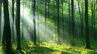 Ако има едно откритие в психологическите изследвания в което можете