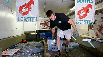 Брюксел е хвърлил нова стръв в опит да сключи търговска
