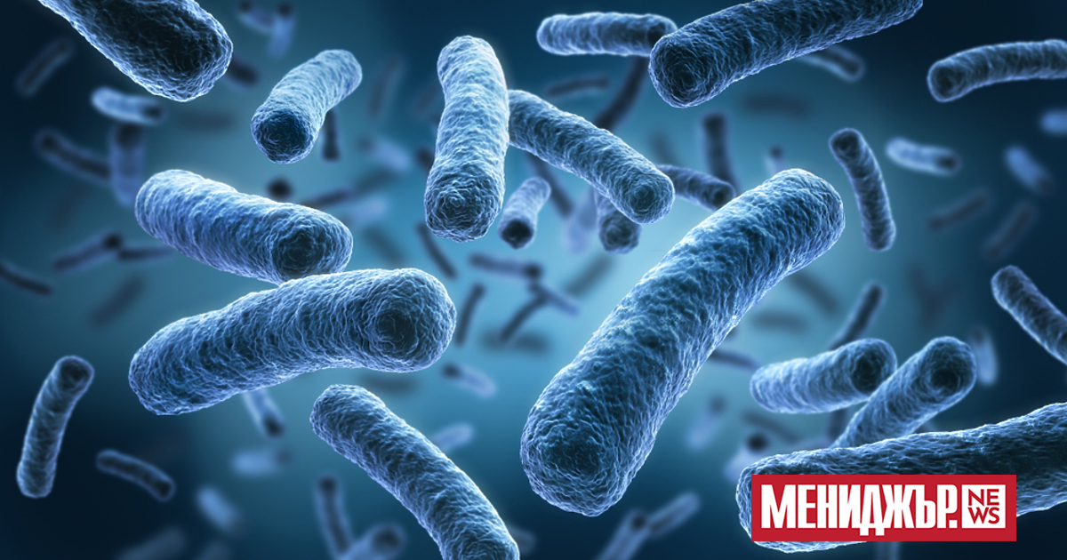 Преди няколко години белгиец на около 30 години се блъска