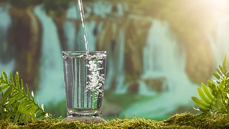 Вкусът на водите е толкова различен колкото и на различните