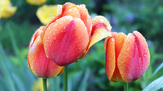 В сряда от запад на изток ще има временни увеличения