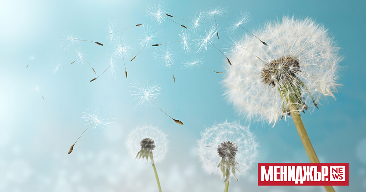 В събота ще бъде предимно слънчево, по-значителна облачност ще има