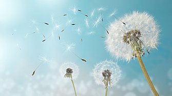 Във вторник ще бъде предимно слънчево В следобедните часове ще