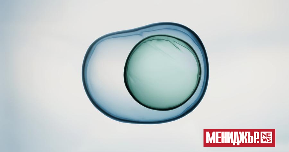 Звукът въздейства не само на слуха и мозъка, но и