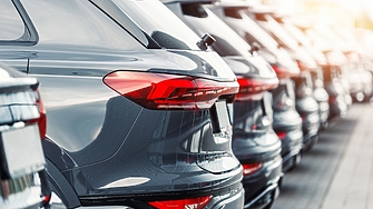 През 2023 г в Европейския съюз е отчетен среден показател