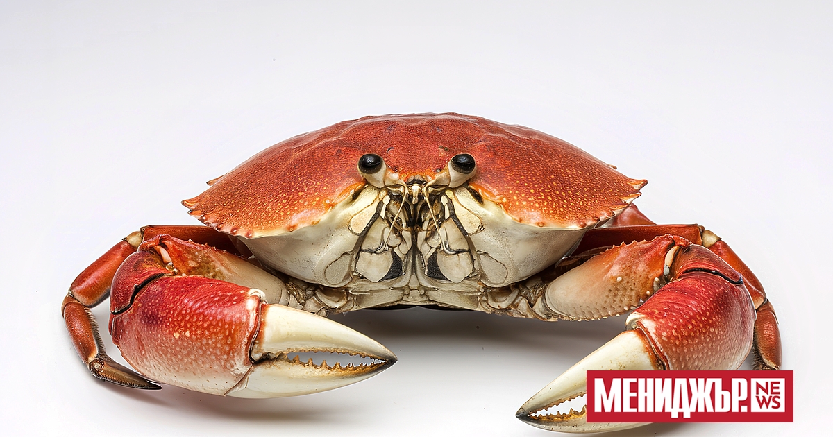 Случвало ли ви се е да работите с пълна отдаденост,