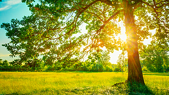 Днес преди обяд ще бъде предимно слънчево Около и след