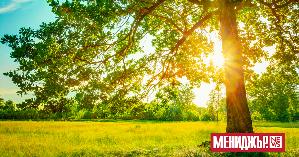 Днес преди обяд ще бъде предимно слънчево. Около и след