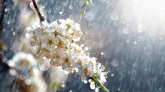 До сутринта в четвъртък валежите ще спрат но още преди