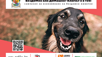 109 не е число В случая това са 109 спасени