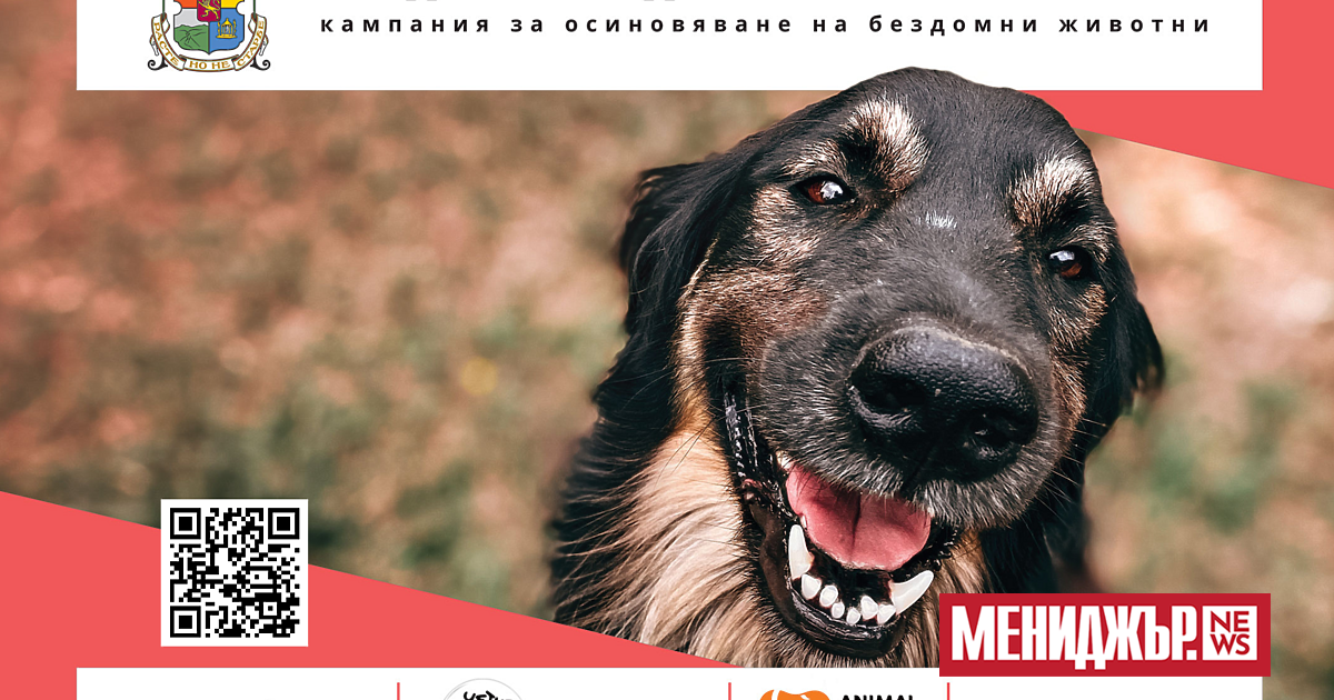 109 не е число. В случая, това са 109 спасени