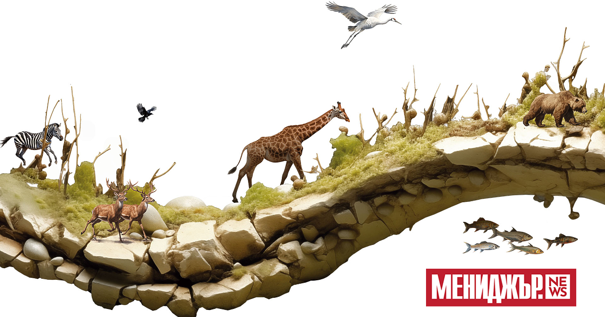 Някои по-млади читатели може да си мислят, че печатните медии