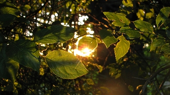 В събота преди обяд ще бъде предимно слънчево прогнозират от Националния