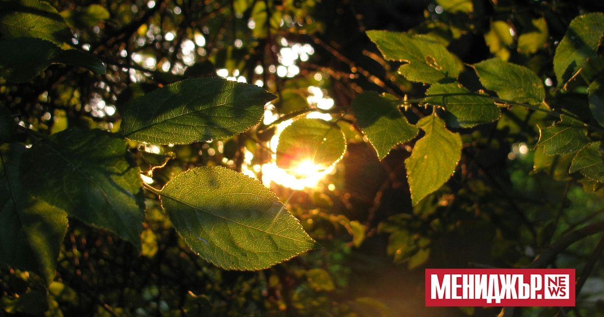 В събота преди обяд ще бъде предимно слънчево, прогнозират от Националния