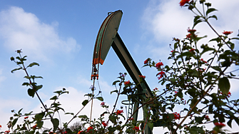 Цените на петрола тръгнаха нагоре след решението на американски съд за митата на Тръмп