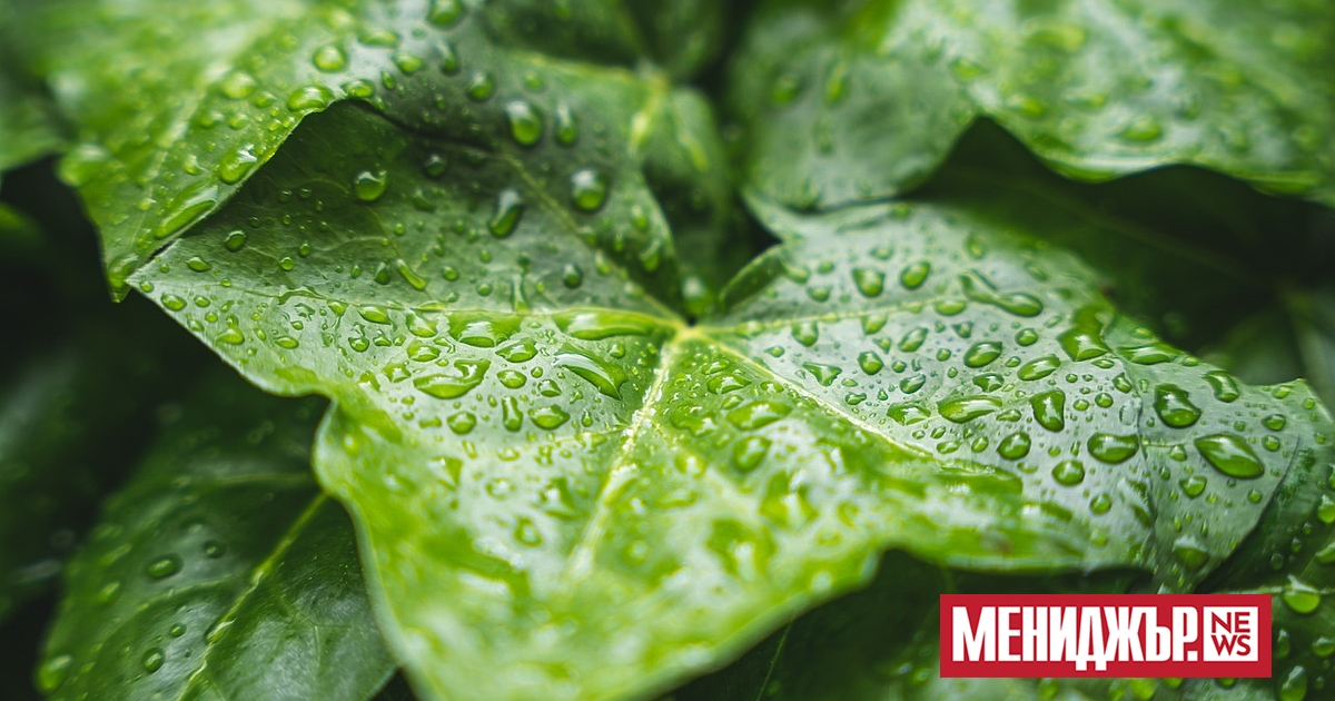 На 27 май преди обед облачността ще остане значителна над