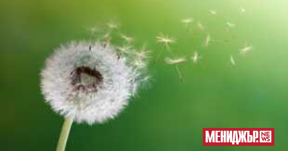 Денят ще започне със слънце, но около и след обяд