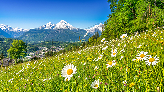 Иновативен метод разработен от изследователски екип под ръководството на Университета