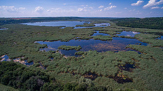 Заради бързо спадащото водно ниво в резервата Сребърна институциите обсъждат