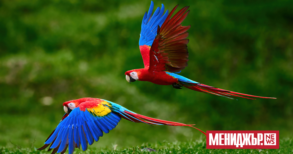 Коста Рика е наясно с важността на европейския туризъм за