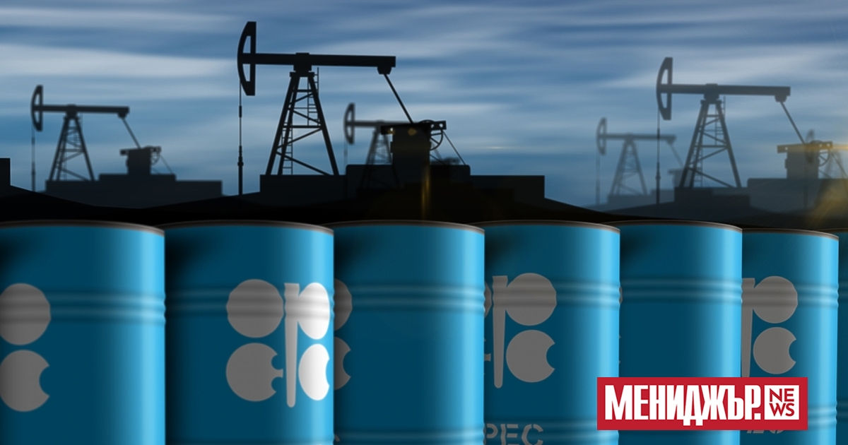 Групата на държавите износителки на петрол OPEC+ взе решение да