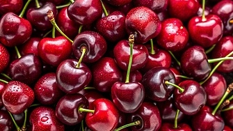 Тенденцията за ръст в цената на плодовете се запазва Това