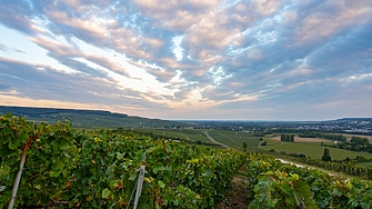 Във Франция започна съдебен процес за един от най големите трудови