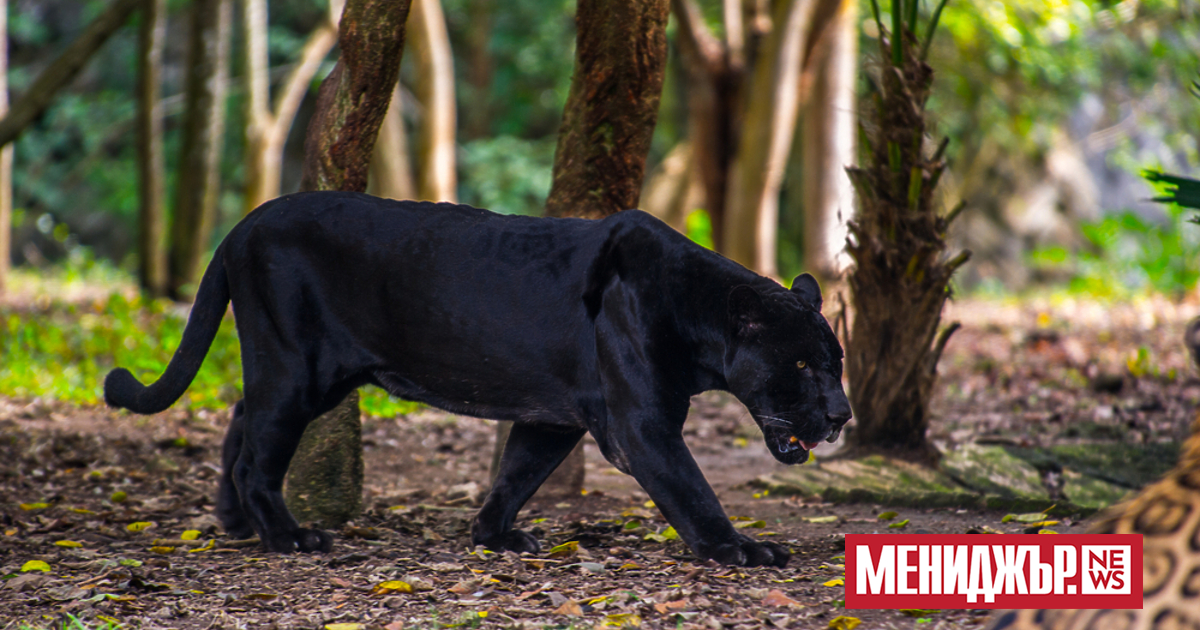 На 500 метра от Мемориалния комплекс Създатели на българската държава