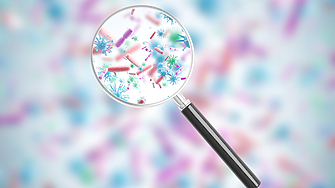 Учени от Великобритания са открили как да обезвреждат опасни бактерии