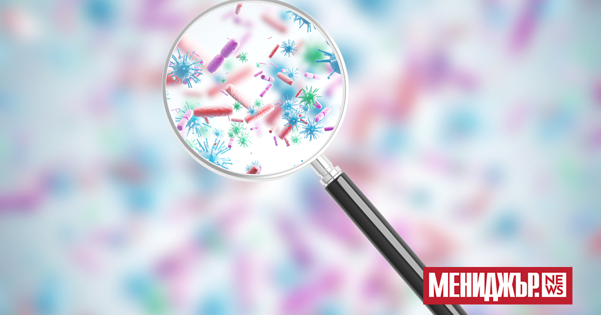 Учени от Великобритания са открили как да обезвреждат опасни бактерии