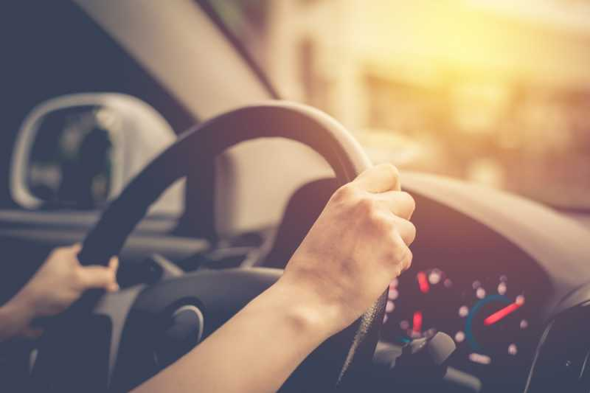 От 12 юли школите по кормуване задължително ще ползват GPS-приложение за дигитално следене