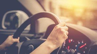 От 12 юли школите по кормуване задължително ще ползват GPS-приложение за дигитално следене