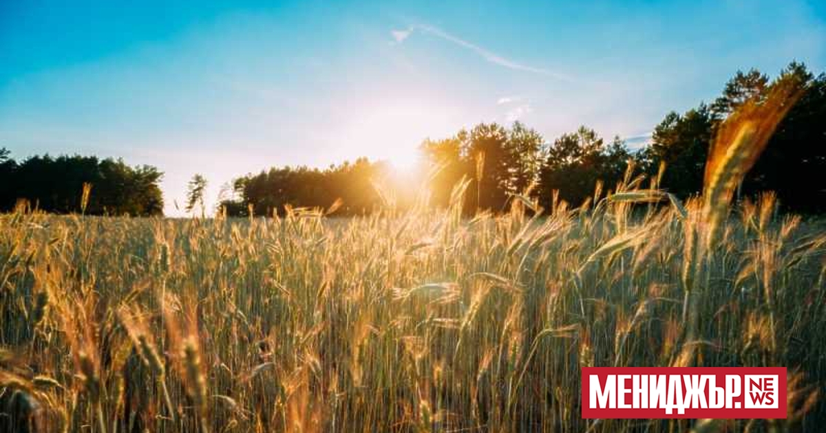 Най-ниските минимални температури ще бъдат между 10° и 15°, а