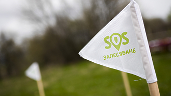 Стара Загора спечели националния конкурс „Залесяваме Активно 2025“ на Нестле България