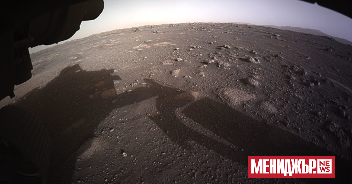 Най-големият метеорит с марсиански произход беше продаден на търг за