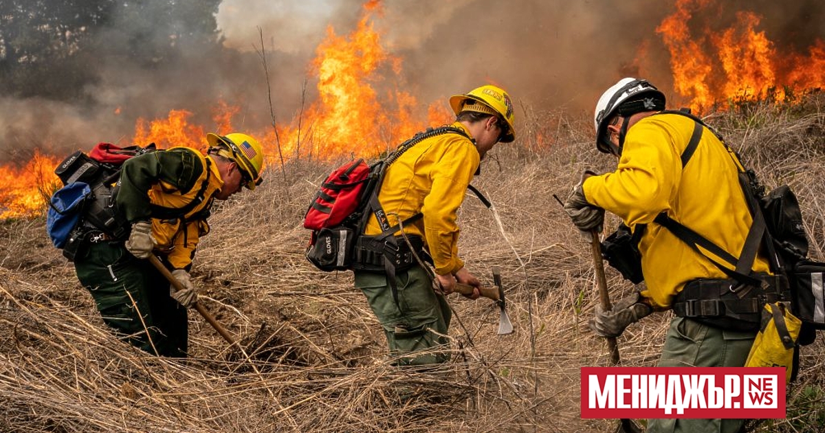 Над 90% от горските пожари у нас са резултат от