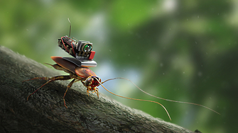 В Германия са предложили разработването на шпионски хлебарки за събиране