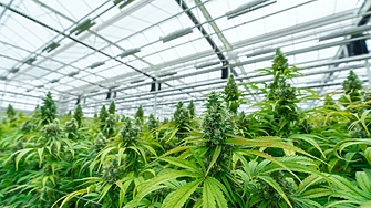 Турският парламент одобри изменение в закона чрез което се разрешава