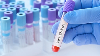 Вибриони бактерии които живеят в солени крайбрежни води смес от