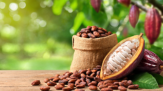 Nestle, Barry Callebaut и re.green ще възстановят райони в Бразилия за производство на какао и кафе