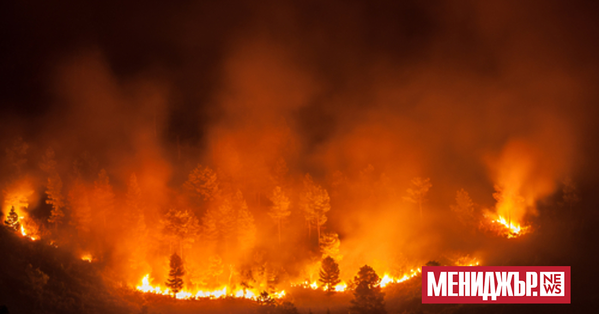 Гърция поиска помощ от ЕС в борбата с горските пожари,