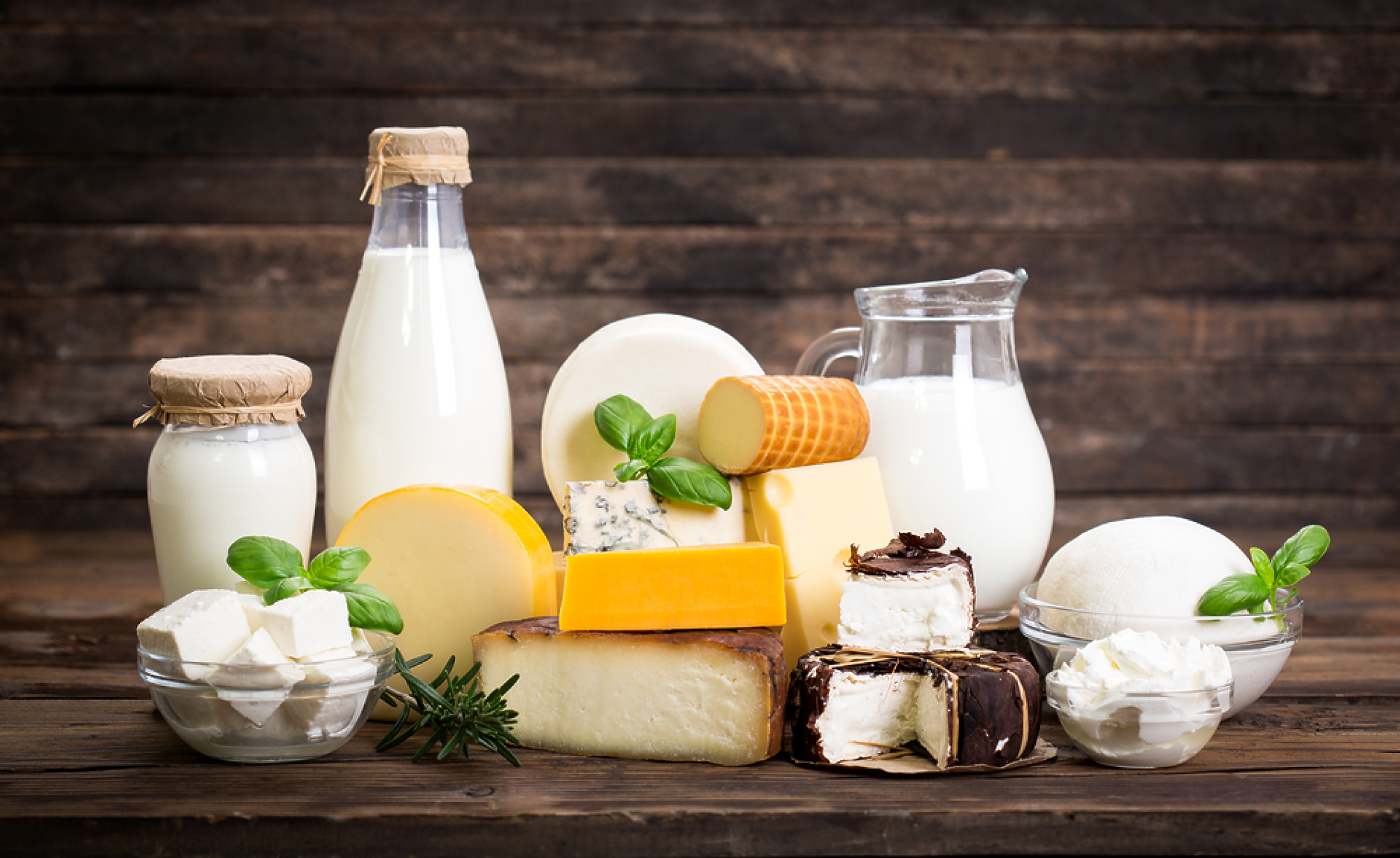 КНСБ: Цените на млечните продукти в България са едни от най-високите в Европа