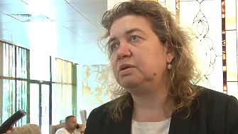 Киселова: През тази пленарна сесия парламентът направи няколко малки, но важни стъпки