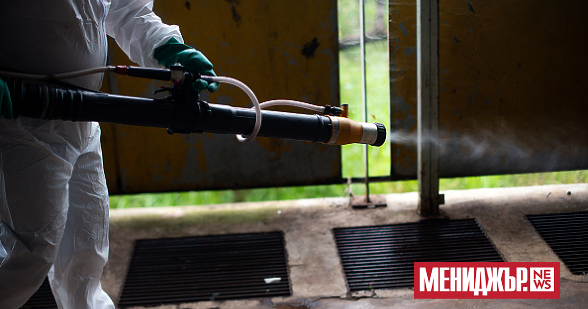 Първият случай на треската чикунгуня от шест години е регистриран