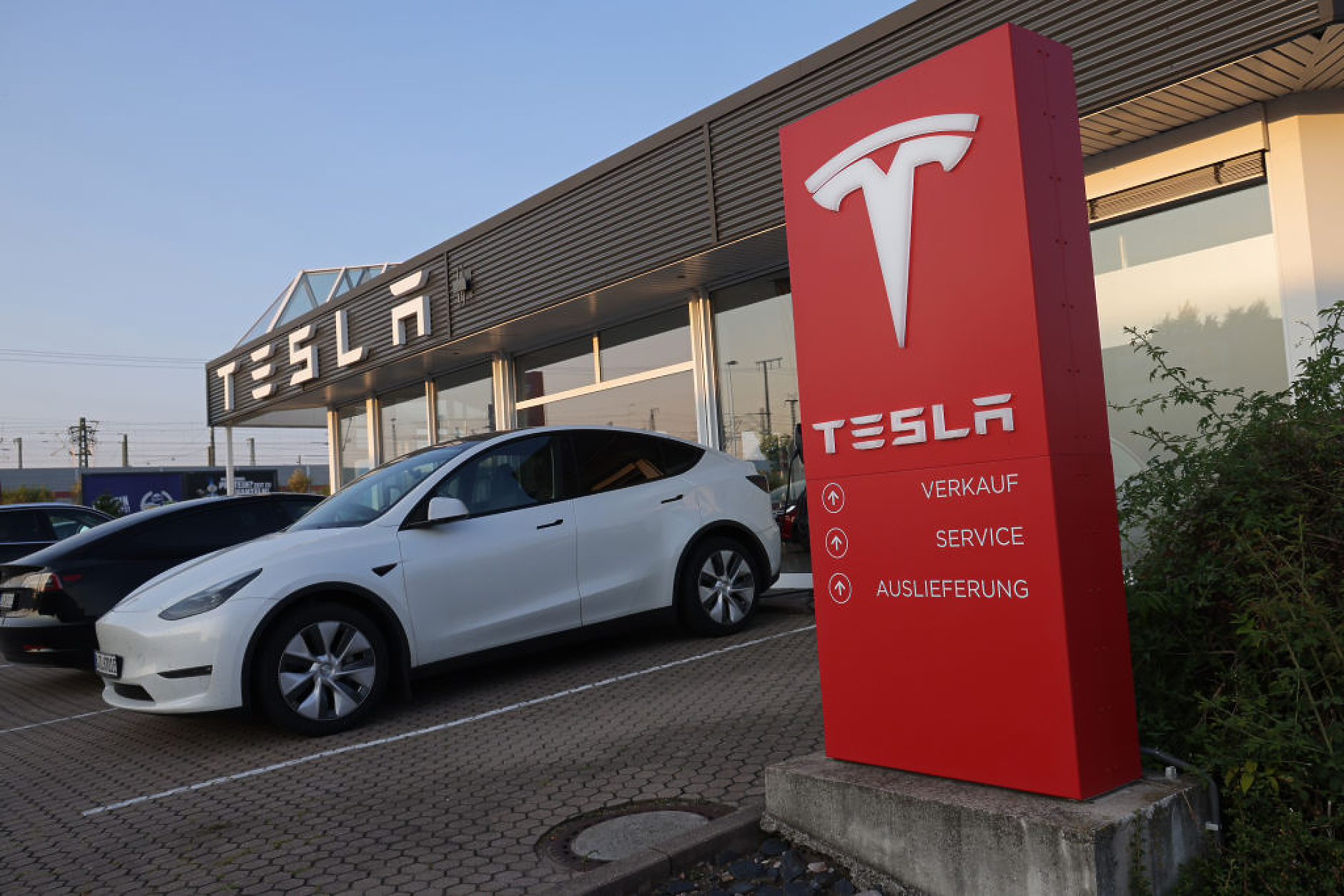 Tesla продължава да губи позиции в Европа, докато BYD разширява присъствието си