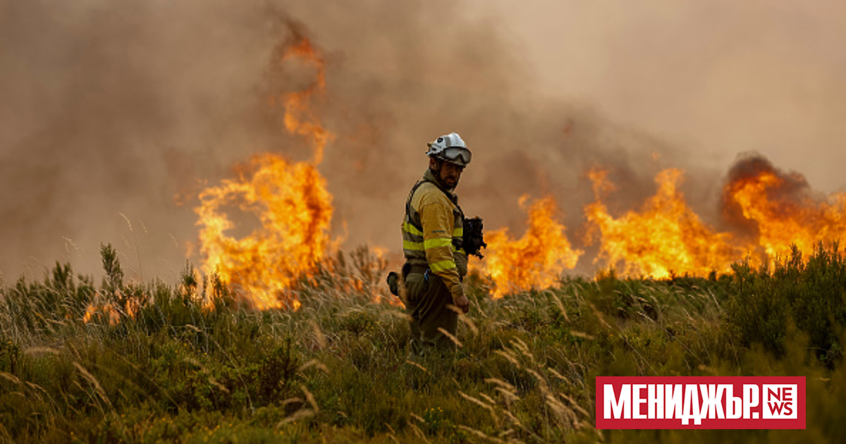 Испанското правителство ще обяви засегнатите от пожарите райони за зона